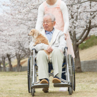 Old man in a wheel chair Old man in a wheel chair
