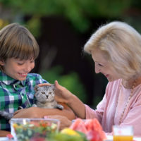 younger boy and older woman pet cute kitten