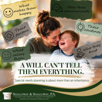 Child with Special Needs Needs More Than a Will Florida Special Needs Planning
